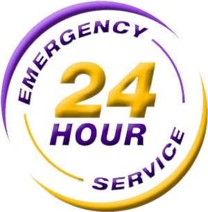 24Hr Emergency Computer Service